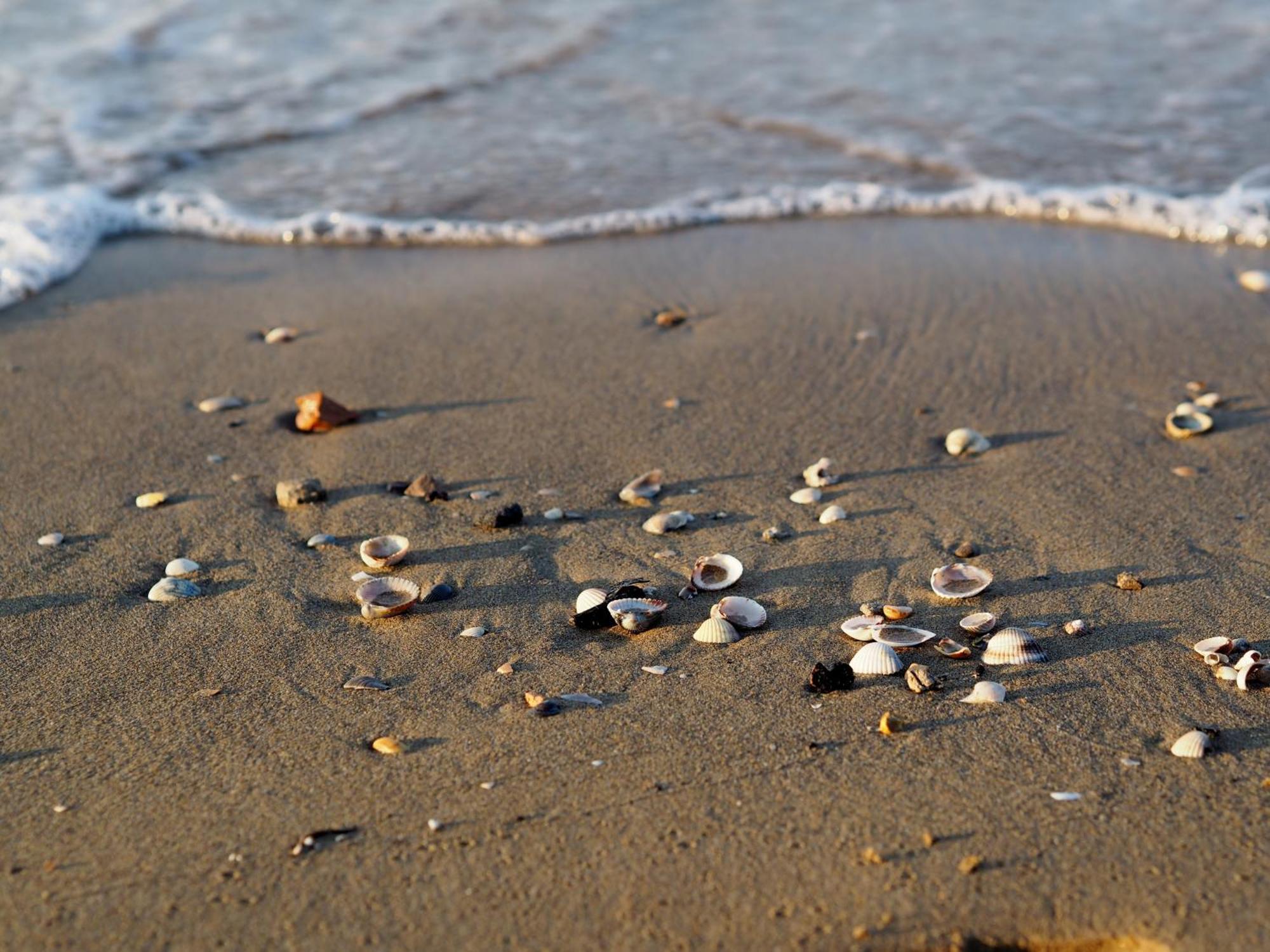 Welcoming Seaside Flat Ideal For 6 Guests Bibione